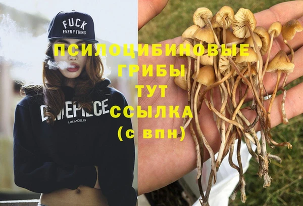 марихуана Арсеньев